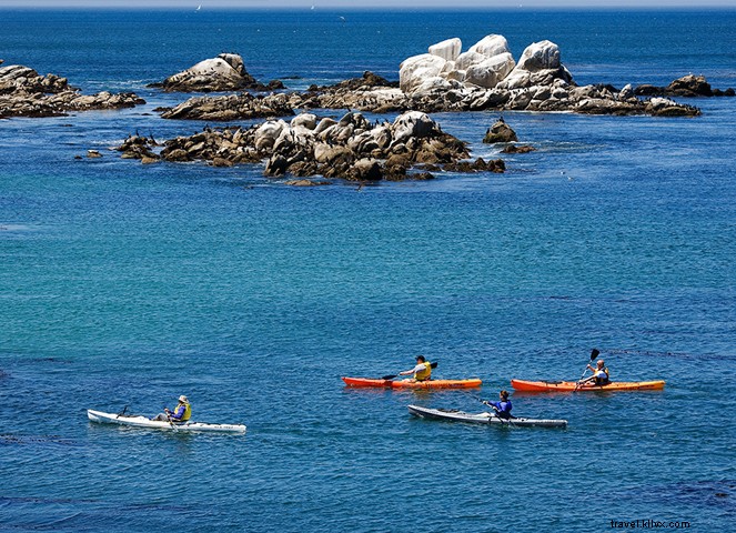 A costa com mais:12 momentos do Condado de Monterey que valem a pena viajar 